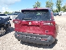 2T3P1RFV9PW****** Destrozados 2023 Toyota RAV4