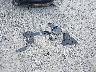 3MVDMBCL4TM****** Destrozados 2026 Mazda CX-30 en Estado de Ohio