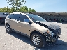 2FMDK39C07B****** Salvage and Wrecked 2007 Ford Edge in Dallas