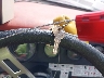 CBC6283***** Salvamento 1980 Chrysler 17 en Estado de Iowa