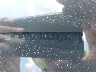 2G1125S33F9****** Usados 2015 Chevrolet Impala en Dundalk