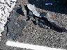 5NPE34AF2FH****** Destrozados 2015 Hyundai Sonata en Estado de Tennessee