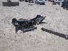 WP1AA2A51JL****** Wrecked 2018 Porsche Macan in Texas State