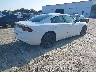 2C3CDXAT9GH****** Salvamento y Destrozados 2016 Dodge Charger Police en Estado de Florida