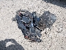 3KPF54AD6RE****** Wrecked 2024 Kia Forte in Pennsylvania State