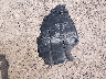 4T1BF1FK9HU****** Wrecked 2017 Toyota Camry in Wisconsin State