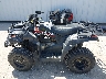 RGSWM2230LB****** Usados 2020 Kawasaki Brute Force 300 en Estado de Texas