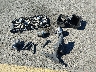 4T4BE46K69R****** Wrecked 2009 Toyota Camry in California State