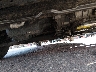 3KPC24A63NE****** Salvamento y Reparables 2022 Hyundai Accent en Estado de Colorado