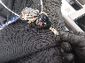 4T1BF3EK2BU****** Salvage 2011 Toyota Camry in New Jersey State