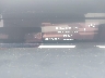 JTDKN3DU6A0****** Salvamento 2010 Toyota Prius en Chicago West