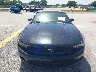 1ZVBP8EM4C5****** Salvamento y Reparables 2012 Ford Mustang en Estado de Florida