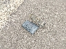 1C6RR7LG6ES****** Wrecked 2014 RAM 1500 in Mississippi State