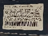 1HGCV1F3XKA****** Used 2019 Honda Accord in Miami North