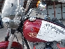 1HD1BHY10YY****** Salvage 2000 Harley-Davidson Softail Standard