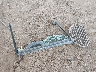 3NSR4D2K4SG****** Wrecked 2025 Polaris RZR in Arizona State
