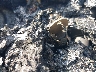 WB10559A87Z****** Salvamento 2007 BMW K 1200 LT en Estado de Oklahoma