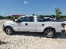 1FTFX1CF2DK****** Salvage 2013 Ford F-150