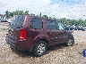 5FNYF4H20BB****** Salvage and Wrecked 2011 Honda Pilot in Pennsylvania State