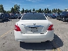 1N4AA5AP6BC****** Destrozados 2011 Nissan Maxima
