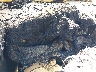 1FTPX12506N****** Repairable 2006 Ford F-150 in California State