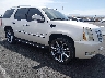 1GYEC63887R****** Salvage and Wrecked 2007 Cadillac Escalade in Las Vegas