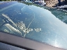 1HGCP368X8A****** Salvage 2008 Honda Accord