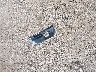 1G11D5SL3FF****** Destrozados 2015 Chevrolet Malibu en Estado de Nebraska