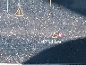 KNDNE5K35S6****** Wrecked 2025 Kia Carnival Mpv