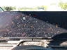 KNDNE5K35S6****** Salvage 2025 Kia Carnival Mpv in Southern New Jersey
