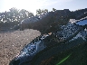 YDVA354***** Salvage 2022 Sea-Doo Other in Chattanooga