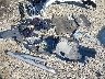5UX53DP06P9****** Used and Repairable 2023 BMW X3 in Northern Virginia