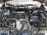 19XFC2F66KE****** Reparables 2019 Honda Civic en Dallas