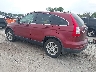 JHLRE4H74AC****** Salvage and Repairable 2010 Honda CR-V in Appleton
