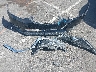 3N1AB7AP8GY****** Wrecked 2016 Nissan Sentra in Nevada State