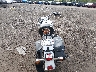 1HD1BW511AB****** Salvage and Repairable 2010 Harley-Davidson FLSTC in Ohio State