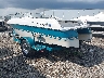 00000FWNMAG****** Salvage and Repairable 1995 Four Winns Other in Columbus