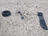 3VWCK31CX5M****** Destrozados 2005 Volkswagen New Beetle en Estado de Florida
