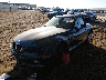 4USCH7338WL****** Salvamento y Reparables 1998 BMW Z3 en Estado de Arizona