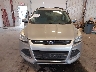 1FMCU0GX0DU****** Wrecked 2013 Ford Escape in Michigan State