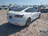 5YJ3E1EA1PF****** Salvamento y Destrozados 2023 Tesla Model 3 en Estado de Texas
