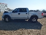 1FTPW14524K****** Salvamento 2004 Ford F-150