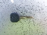 2G4WC532851****** Salvage 2005 Buick LaCrosse in Washington State