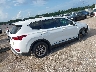 5NMS23AD4KH****** Salvamento y Destrozados 2019 Hyundai Santa Fe en Estado de Florida
