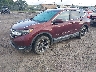 2HKRW1H9XHH****** Used and Repairable 2017 Honda CR-V in Asheville