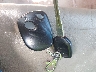 4S3BH806117****** Salvage 2001 Subaru Legacy in Maine State
