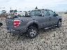 1FTRX14W59F****** Salvage and Wrecked 2009 Ford F-150 in Oregon State