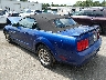 1ZVFT84N055****** Salvamento y Reparables 2005 Ford Mustang en Long Island