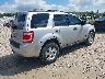 1FMCU93148K****** Salvamento y Destrozados 2008 Ford Escape en Estado de Ohio