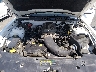 1ZVBP8CH6A5****** Repairable 2010 Ford Mustang in Raleigh